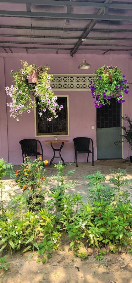 The Purple House Διαμέρισμα Σιέμ Ρέαπ Δωμάτιο φωτογραφία